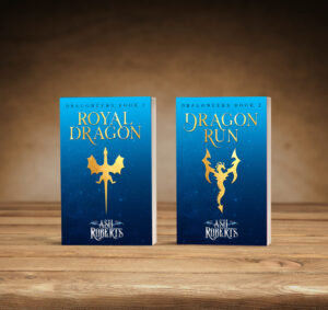 Read more about the article A look at all the stuff you can get in the Dragoneers Kickstarter