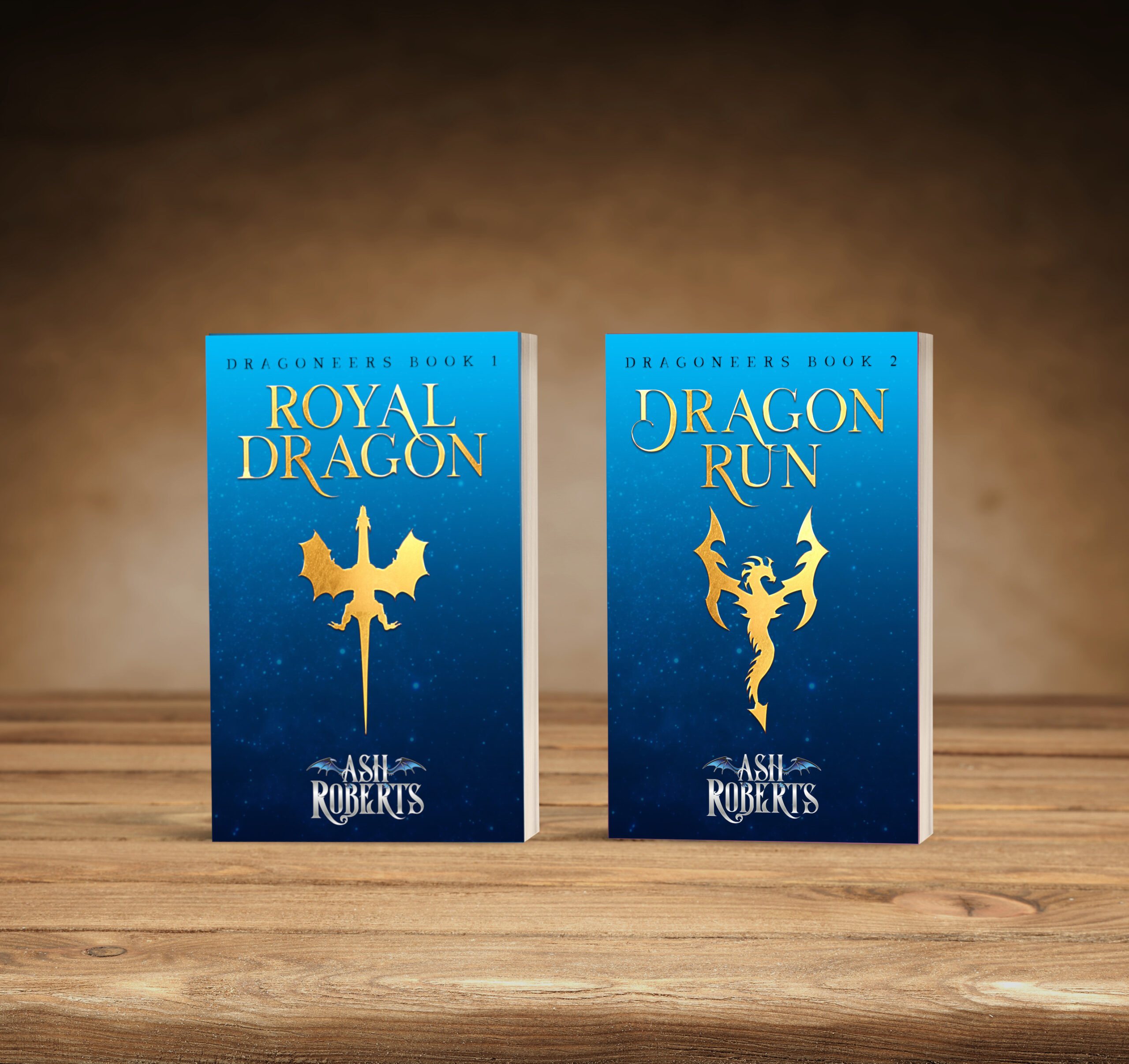 Read more about the article A look at all the stuff you can get in the Dragoneers Kickstarter